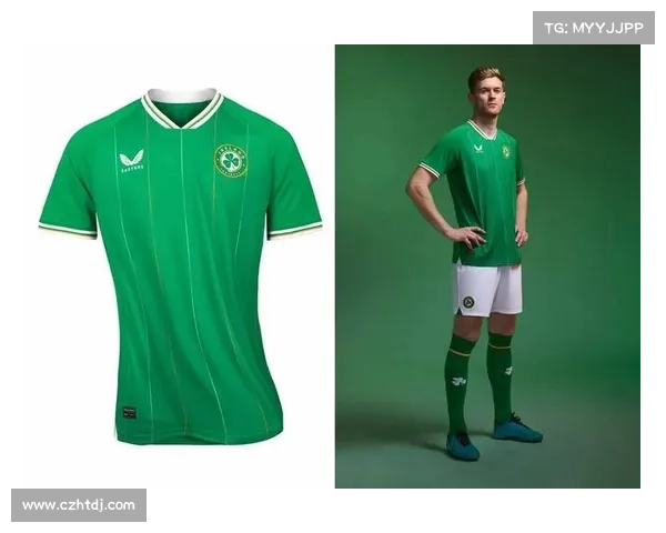 贝尔萨正式接任爱尔兰国家队主帅签约三年开启新篇章