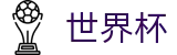 2026世界杯(WorldCup)-官方指定网站 · 与千万球迷并肩，缩小你与赛场的距离